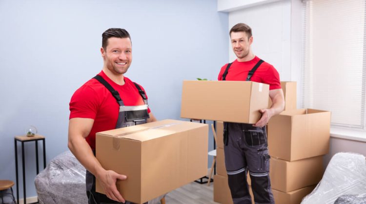 Jasa Pembuatan Bank Garansi dan Surety Bond